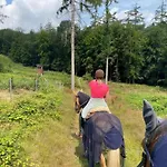 Mit Sauna In Lothe Schieder-Schwalenberg