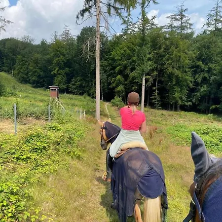 Mit Sauna In Lothe Schieder-Schwalenberg