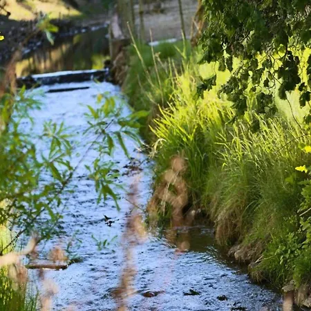 Mit Sauna In Lothe Daire Schieder-Schwalenberg