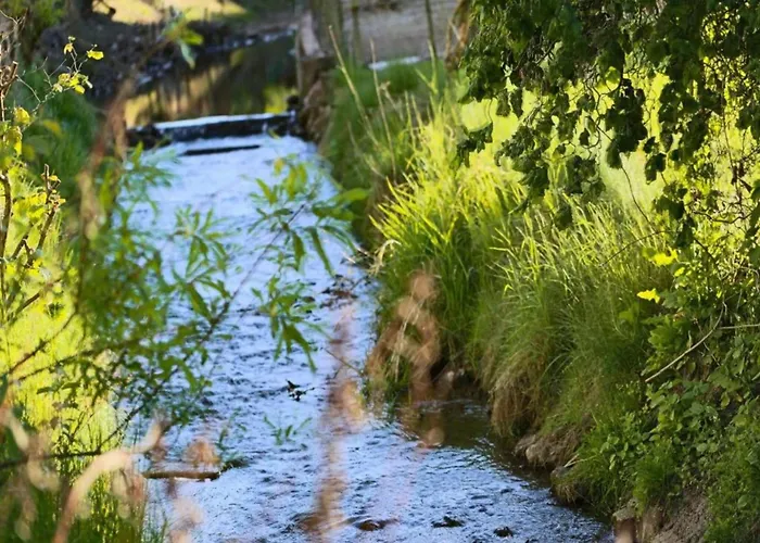 Mit Sauna In Lothe 公寓 席德尔·施瓦伦贝尔